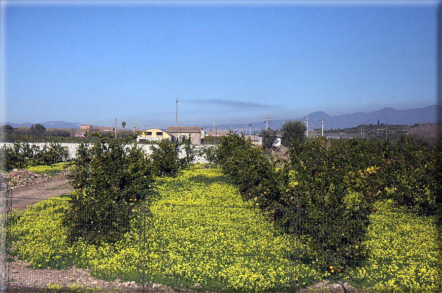 foto Pendici dell'Etna